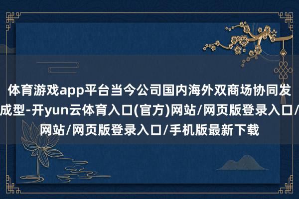 体育游戏app平台当今公司国内海外双商场协同发展的神志正加快成型-开yun云体育入口(官方)网站/网页版登录入口/手机版最新下载