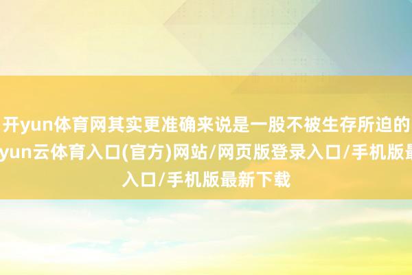 开yun体育网其实更准确来说是一股不被生存所迫的舒畅-开yun云体育入口(官方)网站/网页版登录入口/手机版最新下载