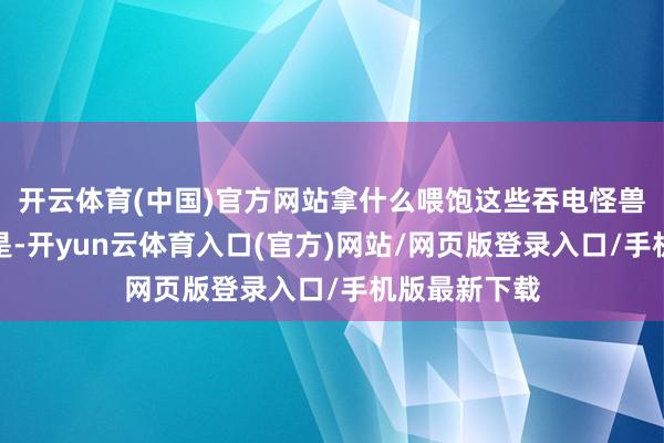 开云体育(中国)官方网站拿什么喂饱这些吞电怪兽？有真义的是-开yun云体育入口(官方)网站/网页版登录入口/手机版最新下载