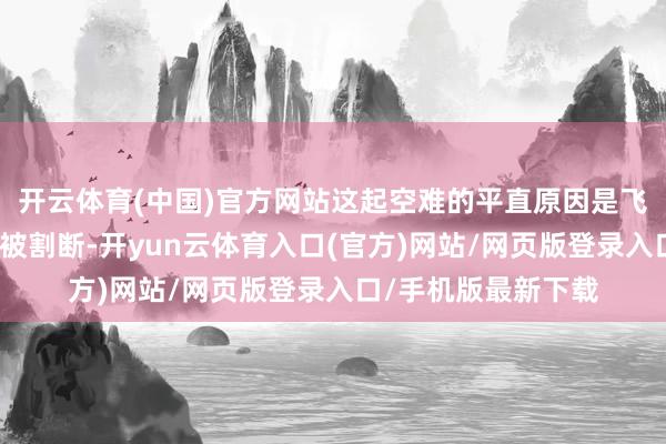 开云体育(中国)官方网站这起空难的平直原因是飞机引擎的燃油供应被割断-开yun云体育入口(官方)网站/网页版登录入口/手机版最新下载