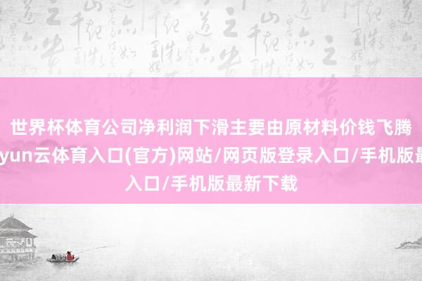 世界杯体育　　公司净利润下滑主要由原材料价钱飞腾形成-开yun云体育入口(官方)网站/网页版登录入口/手机版最新下载