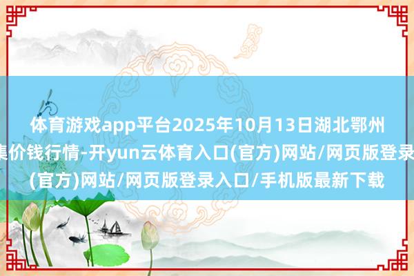 体育游戏app平台2025年10月13日湖北鄂州市蟠龙农产物批发市集价钱行情-开yun云体育入口(官方)网站/网页版登录入口/手机版最新下载